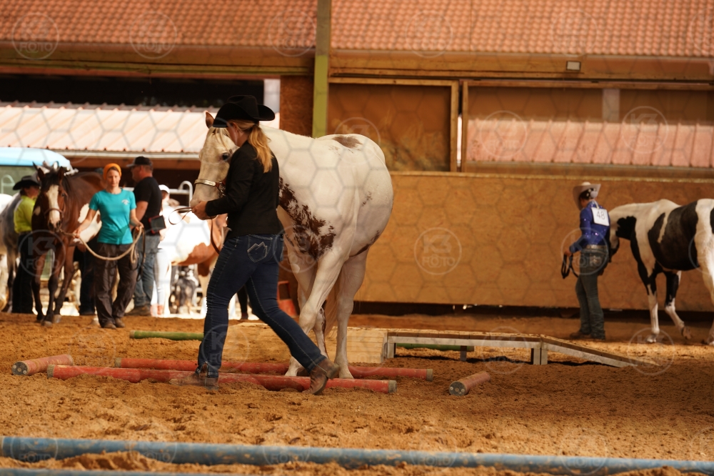 s_A9_01284.jpg